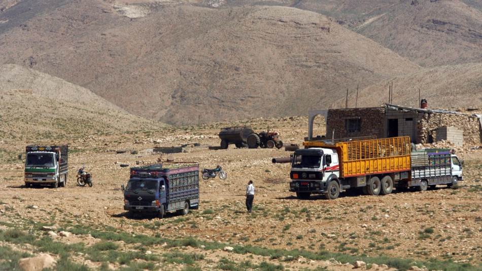 Syria to Lebanon: Agricultural Smuggling Facts