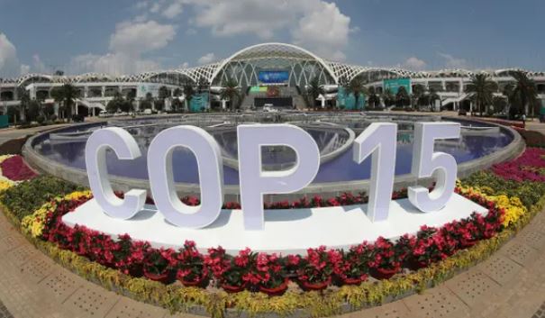Countries Adopt Historic UN Deal to Protect Nature | Kataeb