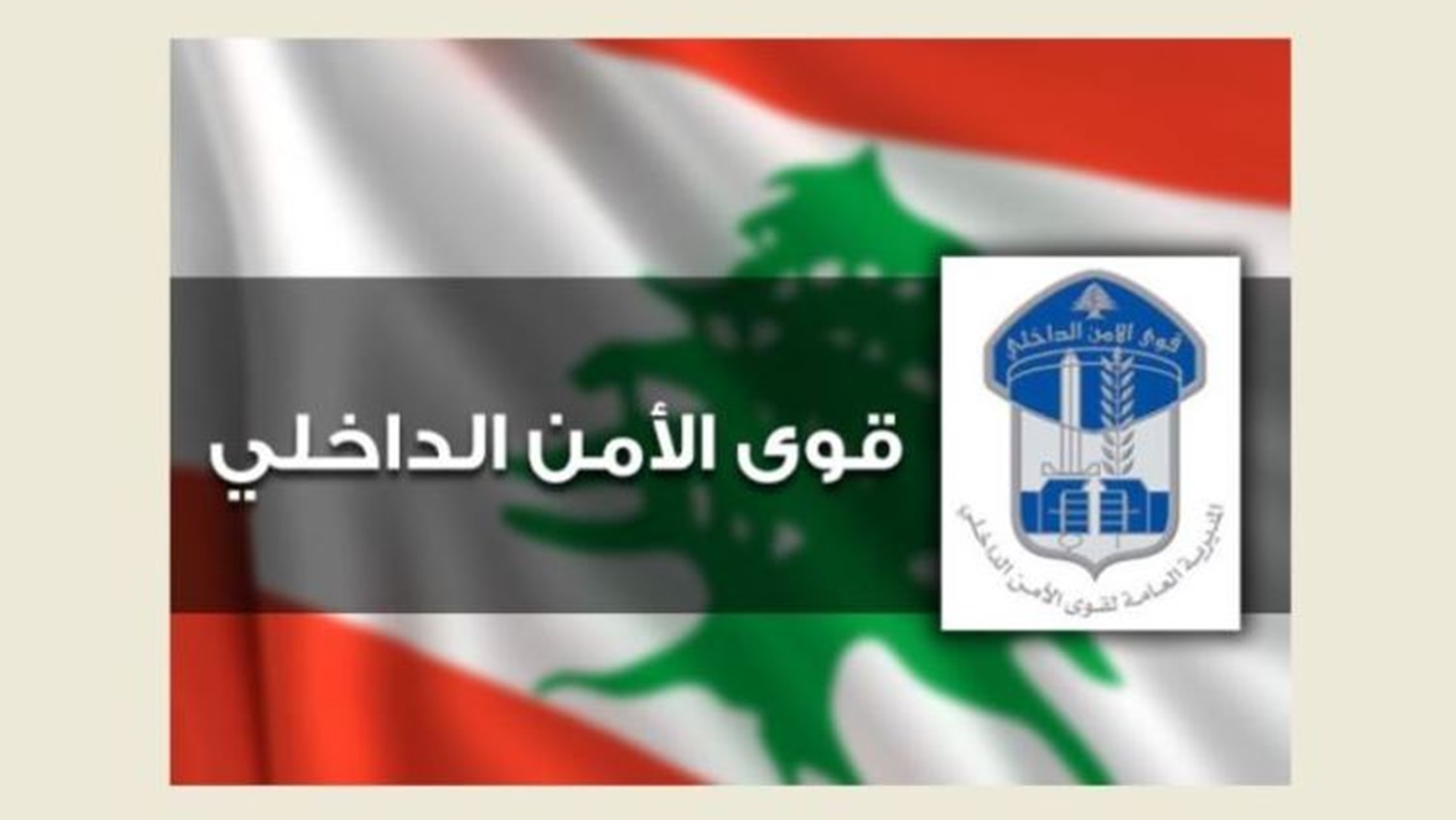 Arrest of a gang that carried out dozens of thefts in Nabatieh and its surrounding areas